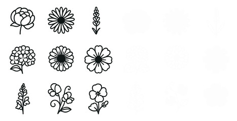 Black and white floral designs for artistic inspiration and creative projects