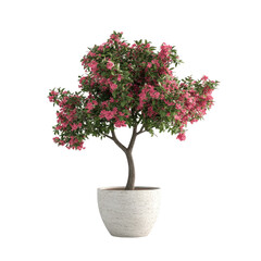 Naklejka premium Pink flowering tree in a white pot. Digital rendering