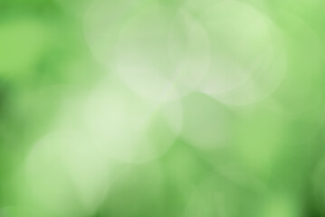 Natural defocus light background. Bokeh, blurred greenery.