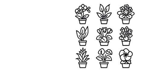 Collection of decorative potted plants for botanical designs