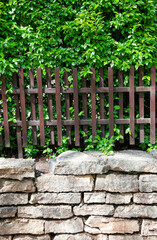 Green hedge with dense foliage grows above rustic stone wall and wooden fence