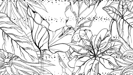 TR_SP_BW15.eps