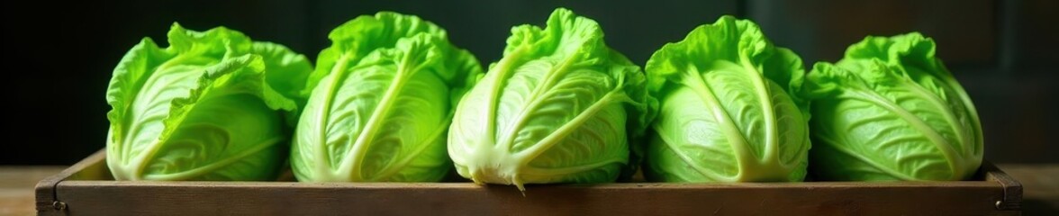Crisp napa cabbage heads, vibrant green, nestled in rustic wooden crate ,  vitamin,  natural