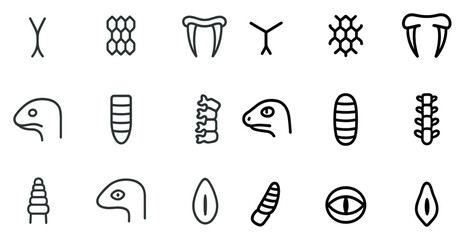 Abstract animal symbol patterns for design and branding projects