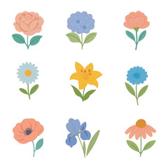 Assorted Flat Vector Flowers