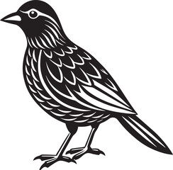 Fototapeta premium bird on a white background