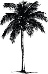 palm tree silhouette
