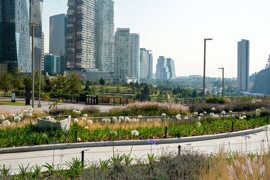 Modern high-rise apartments and landscaped park, Santa Fe, Mexico City, horizontal framing with green foreground and strong architectural rhythm