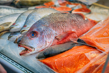 Close-up of various fresh fish and salmon fillets displayed on ice, seafood market. Sale of fresh frozen fish. Open showcases of seafood market. Concept of fresh fish, seafood selection, healthy diet