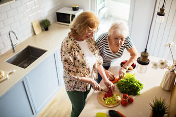 Senior lesbian couple cooking healthy food together while following a recipe on laptop in modern kitchen