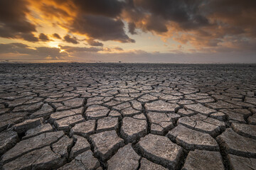 Exploring the exposed Wadden Sea flats where cracks form in the muddy seabed. Patterns emerge on...
