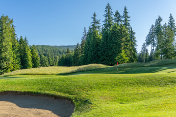 Golf course with gorgeous green and sand bunker view in Vancouver, Canada, North America. Day time...