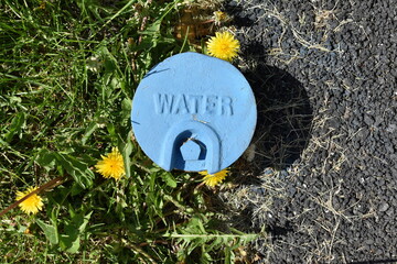 City Water Utility Service Port Shutoff Valve Surrounded by Dandelions