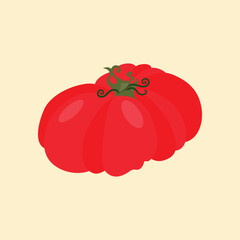 Set of heirloom tomatoes with green stems different shapes. Flat vector illustration isolated on light background. Colorful vegetable variety. Healthy eating and organic farming concept