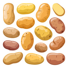 A Collection of 15 Illustrated Potatoes Diverse Shapes and Colors