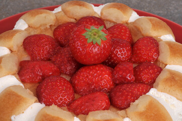 Détail d'une charlotte aux fraises faite maison vue de dessus en gros plan