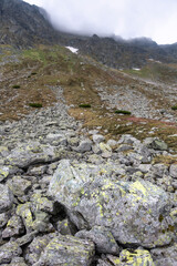 Alpine wilderness scenery featuring dark misty mountain slopes, rocky terrain under cloudy sky