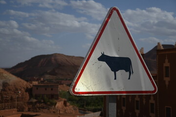 Caution Sign for Cattle in a Rural Landscape with Mountains in the background