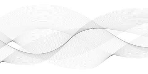 black and white gray wavy curve  technology science line on transparent background