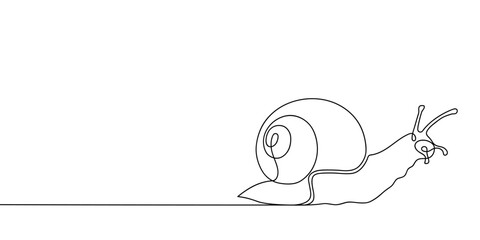 Continuous line drawing of conch snail shell. Minimalist black linear sketch isolated on white background. Hand drawn vector illustration.