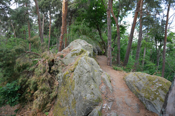 kleiner idyllischer Wanderweg im Harz bei Blankenburg 