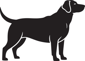 abrador Retriever silhouette with a well-balanced structure - Labrador Retriever illustration - minimal Labrador Retriever vector - dog silhouette