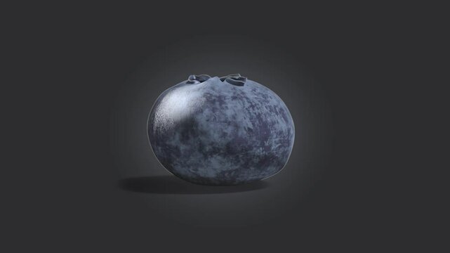 Fresh blueberry berry, looped rotation, dark background