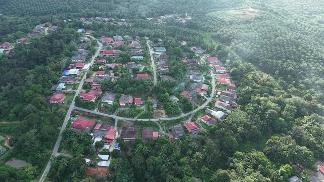 Aerial view of a local Malaysian oil palm plantation village in the morning. Warm sunlight filters through light mist, revealing rows of palm trees and scattered village homes.