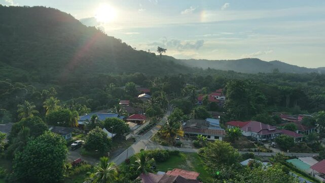 Aerial view of a local Malaysian oil palm plantation village in the morning. Warm sunlight filters through light mist, revealing rows of palm trees and scattered village homes.
