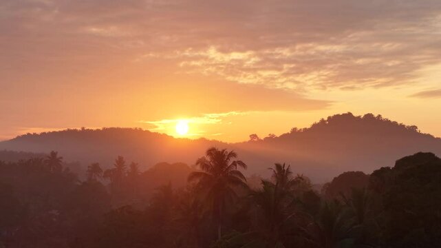 Dramatic morning sunrise over an Asian oil palm plantation. Golden light pierces through low mist, casting long shadows across neat rows of palm trees and creating a warm, cinematic landscape.