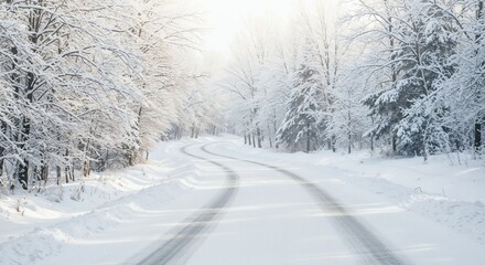 Fototapeta premium Quiet winter road surrounded by snow-covered trees in sunlight 