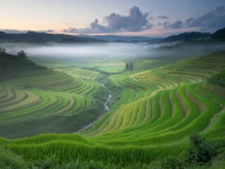 Serene sunrise over lush green rice terraces