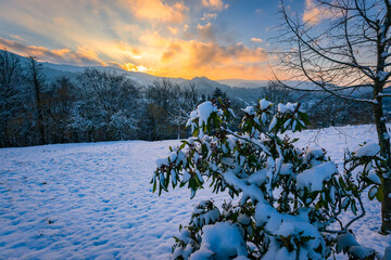 Schnee im Schwarzwald