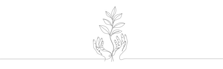Hands Holding Green Sprout Environment, Ecology, Growth, Plant, Future.