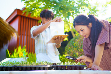 Two high school students are studying and researching about planting and growth of plants and vegetable.