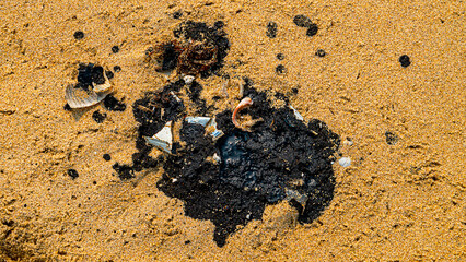 Oil pollution of sea and coast. Floating clot of fuel oil bring toxin to other parts of sea, secondary pollution. Sandy beach attacked by fuel. South China Sea