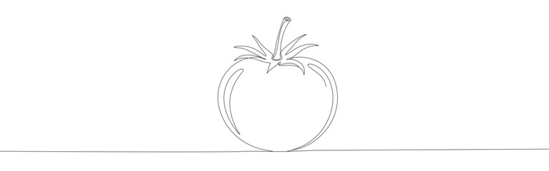 Tomato continuous one line drawing. Fresh vegetable.