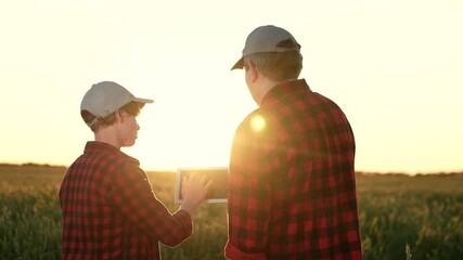 farmer agronomist engineer agricultural worker. teamwork. farm wheat ear grain. business concept sunset. agronomists engineers work with their hand tablet sunset. discuss selling harvest wheat ear