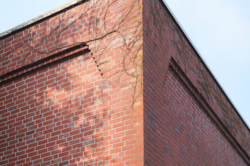 Corner of a red brick building with climbing vines and tree shadow