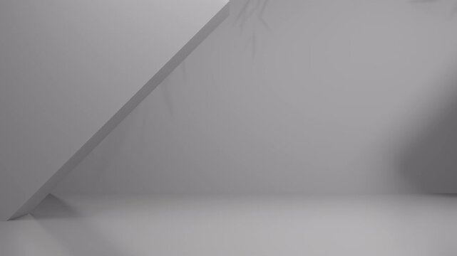 Video of 3d rendering mockup of white room with leaf shadow animation. 4K footage shadows of leaves moving slowly in the wind on a gray cement background. Animation minimal scene white wall.