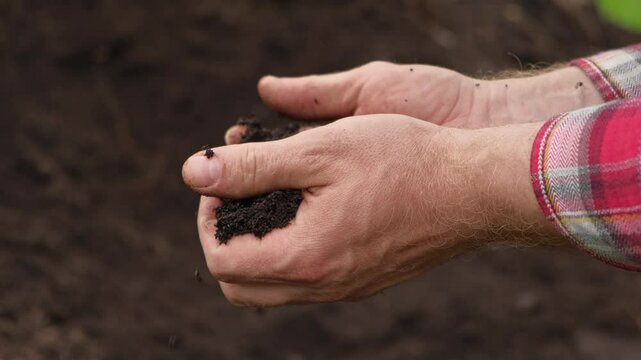 Fertile soil in male hands. Farmer hold rich land in field. Handful black soil. Natural ecological farming. Agricultural business. Humus, fertilized land. Bio agriculture and eco friendly cultivation.