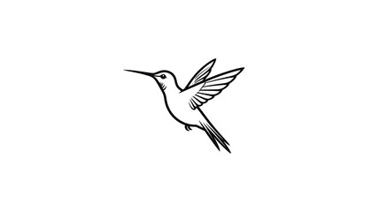 Hummingbird in Flight with Line Art.