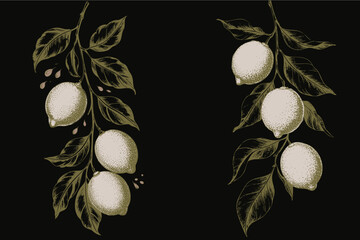 Lemon branches with ripe fruit and leaves create fresh and vibrant design, perfect for culinary or decorative use