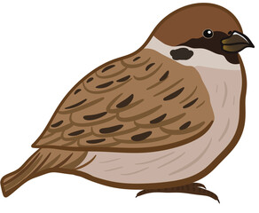 bird