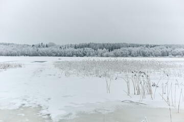 a frozen lake and a forest in frost around the lake, winter fairy tale in the forest, snow-covered tree branches, large flakes of snow are slowly falling, nobody
