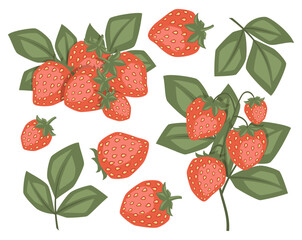 Set of vector isolated strawberry illustration