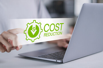 Cost reduction business finance concept. Budget management and cost management. Person using laptop...