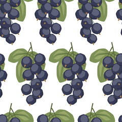 Vector seamless pattern with black currant on white background