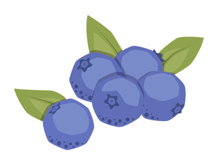 Vector isolated simple blueberry illustration