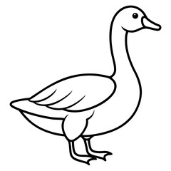 duck vector illustration
